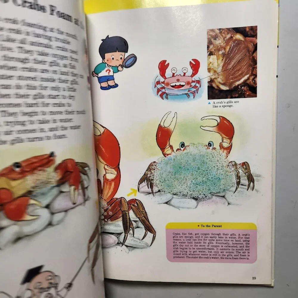 Life in the Water Child's First Library of Learning Science Stem Book Homeschool